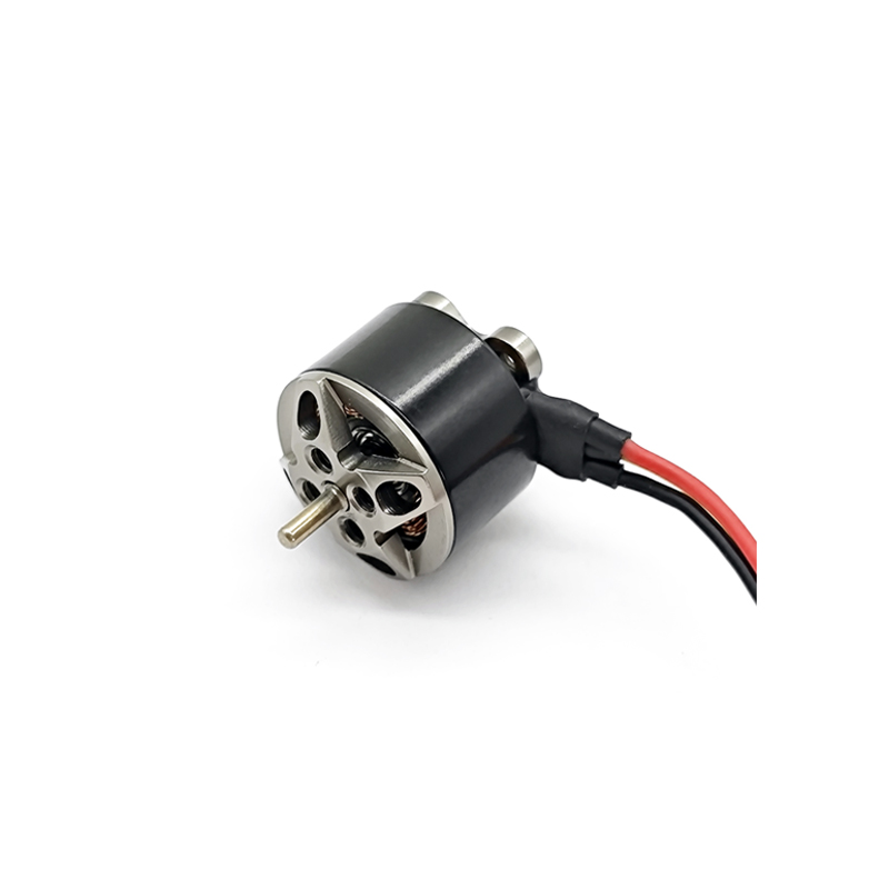 1104 Motor cu avionul model