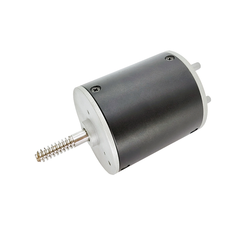 24V 36V BL6070 Motor fără perie pentru mașini de cafea și măcinare de fasole